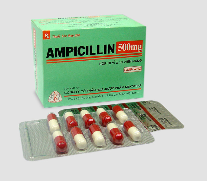 Ampicillin là thuốc gì?