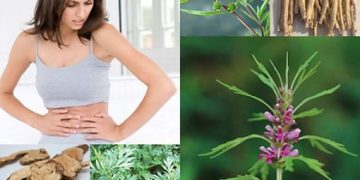 10+ Cách chữa rối loạn kinh nguyệt tại nhà hiệu quả nhất