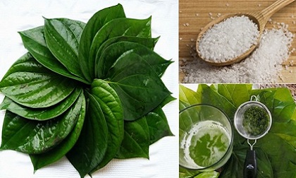 Chữa viêm âm đạo bằng lá trầu không