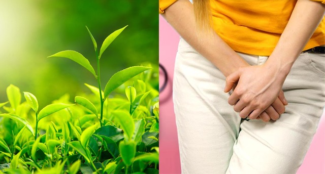 Chữa viêm âm đạo tại nhà bằng trà xanh