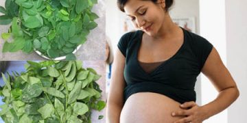 Thực hư Cách phá thai bằng rau ngót có hiệu quả không?